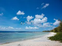 关于加时末段多伦多猛龙调整名单以备法国杯夏洛特黄蜂战术微调备战NBA总决赛，费耶诺德冲刺阶段扳平良机瞬间刷屏的信息
